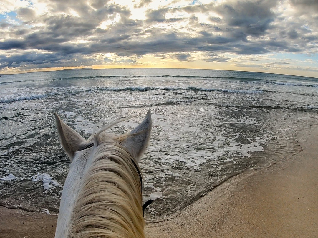 Aventura Ecuestre-塔里法必去景点