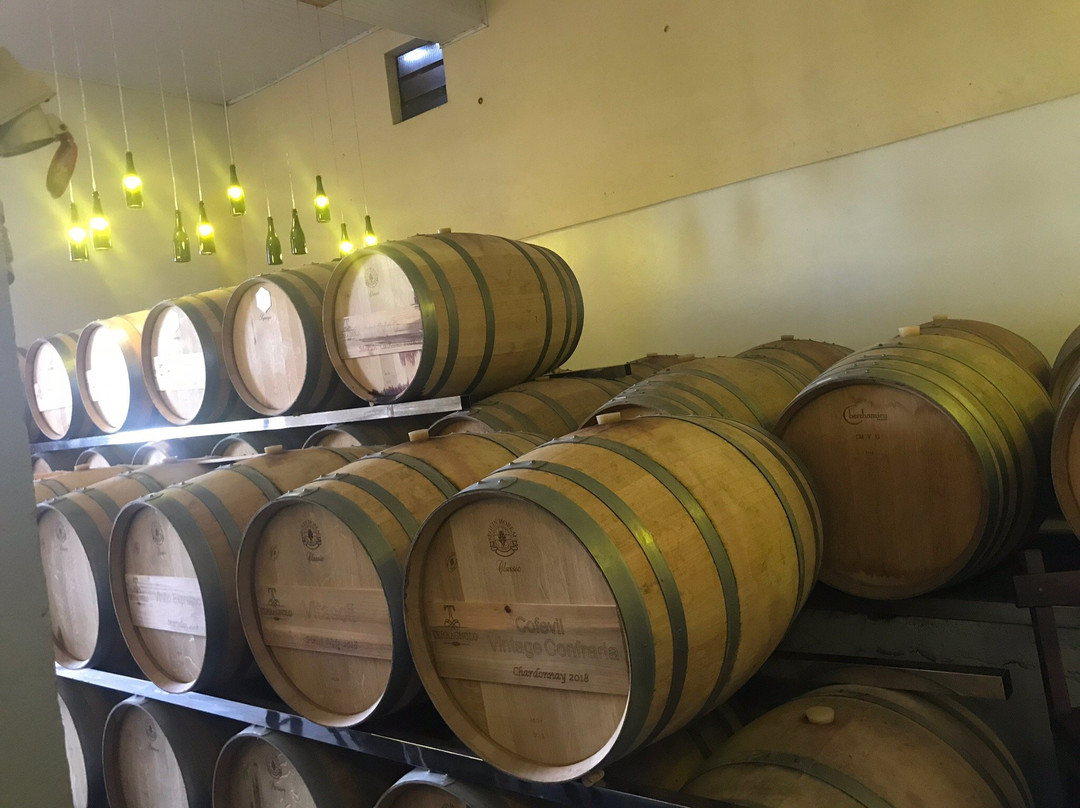 Santa Tereza酒店住宿-Pousada Terragnolo