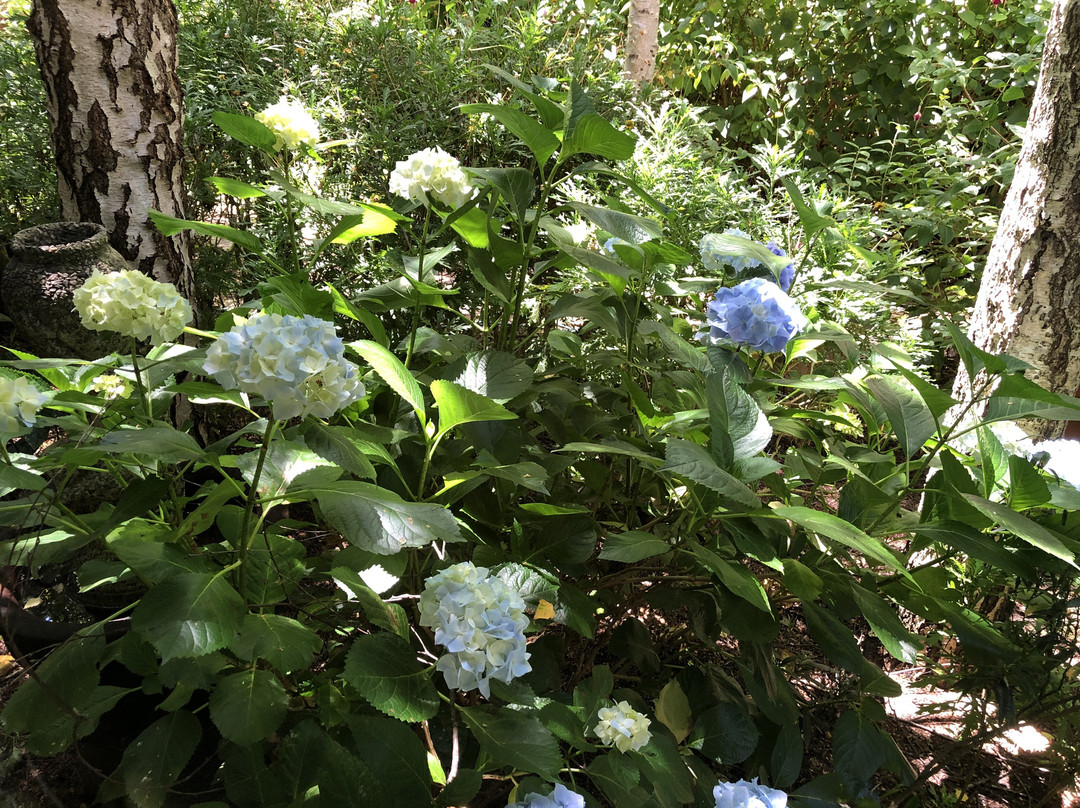 紫檀木宾馆主图