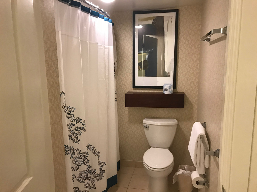 Residence Inn by Marriott Toledo Maumee主图