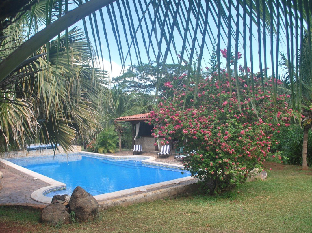 Casa La Colonial Bed & Breakfast主图