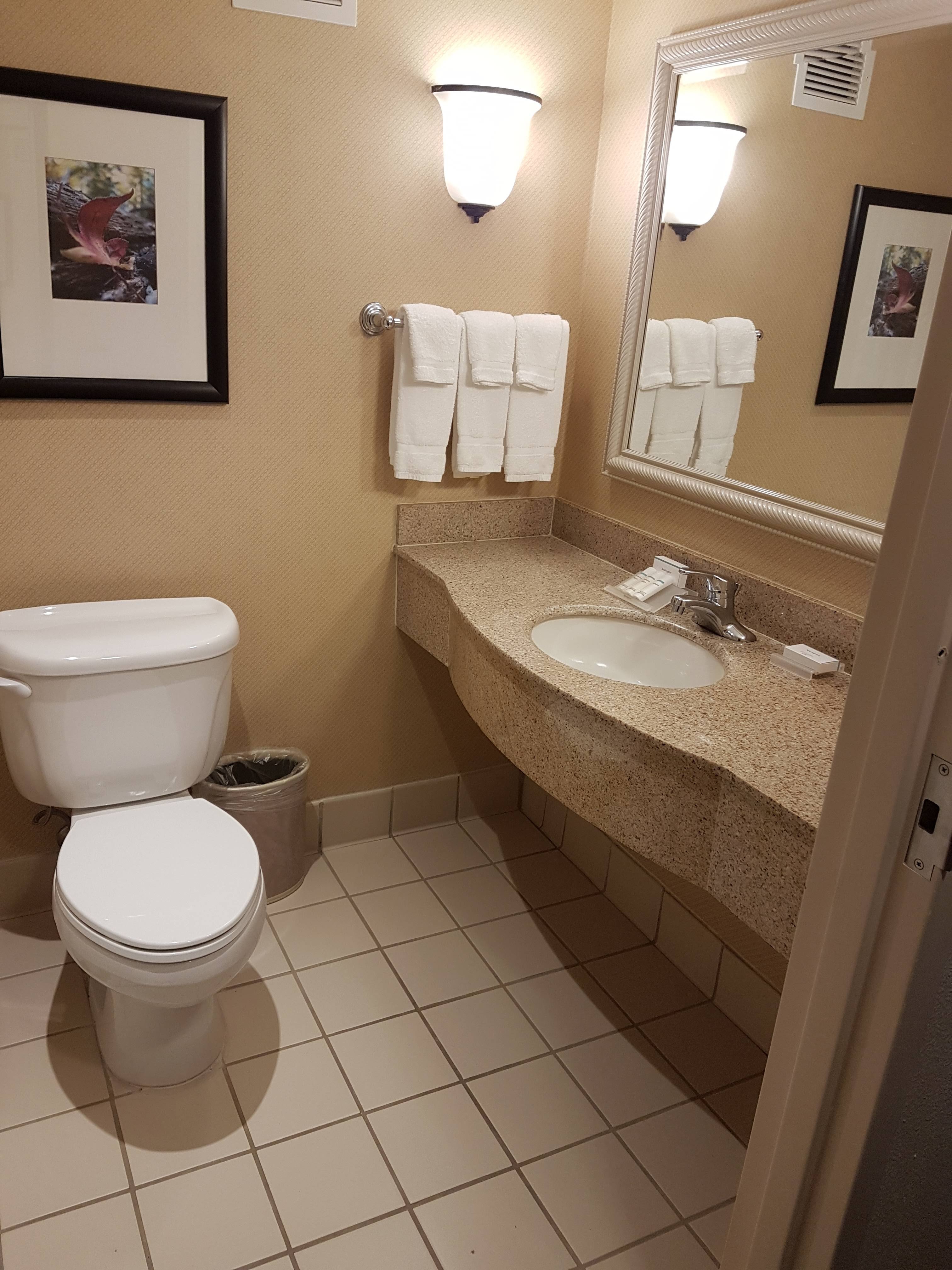 休斯顿/兀兰希尔顿花园旅馆-浴室