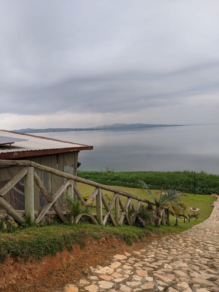 Buvi Lodge Limited-官方
