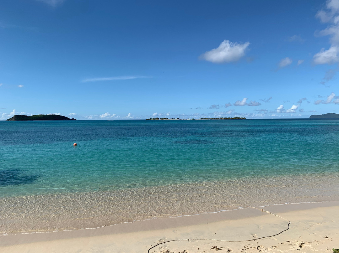 Isle of Reefs Tours - Day Tours景点图片
