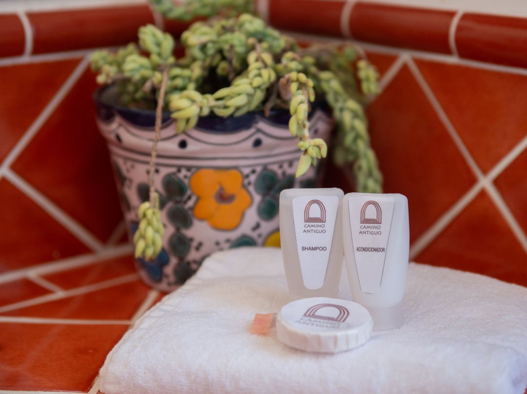 Hotel Camino Antiguo主图