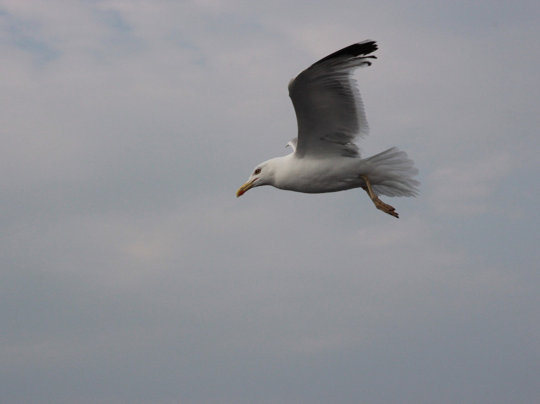 Thassos Port-Thassos Town (Limenas)必去景点