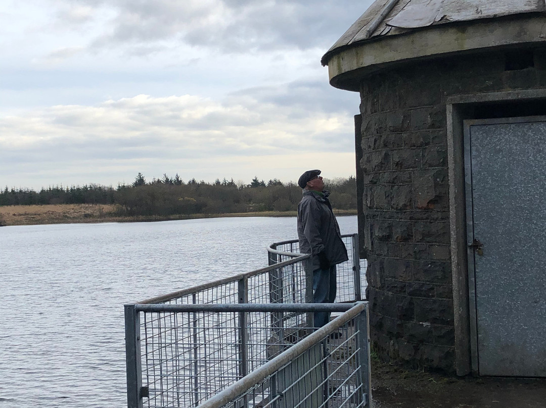 Llyn Llech Owain Country Park-Gorslas必去景点