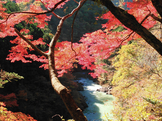 Sogaku Valley-奥多摩町必去景点