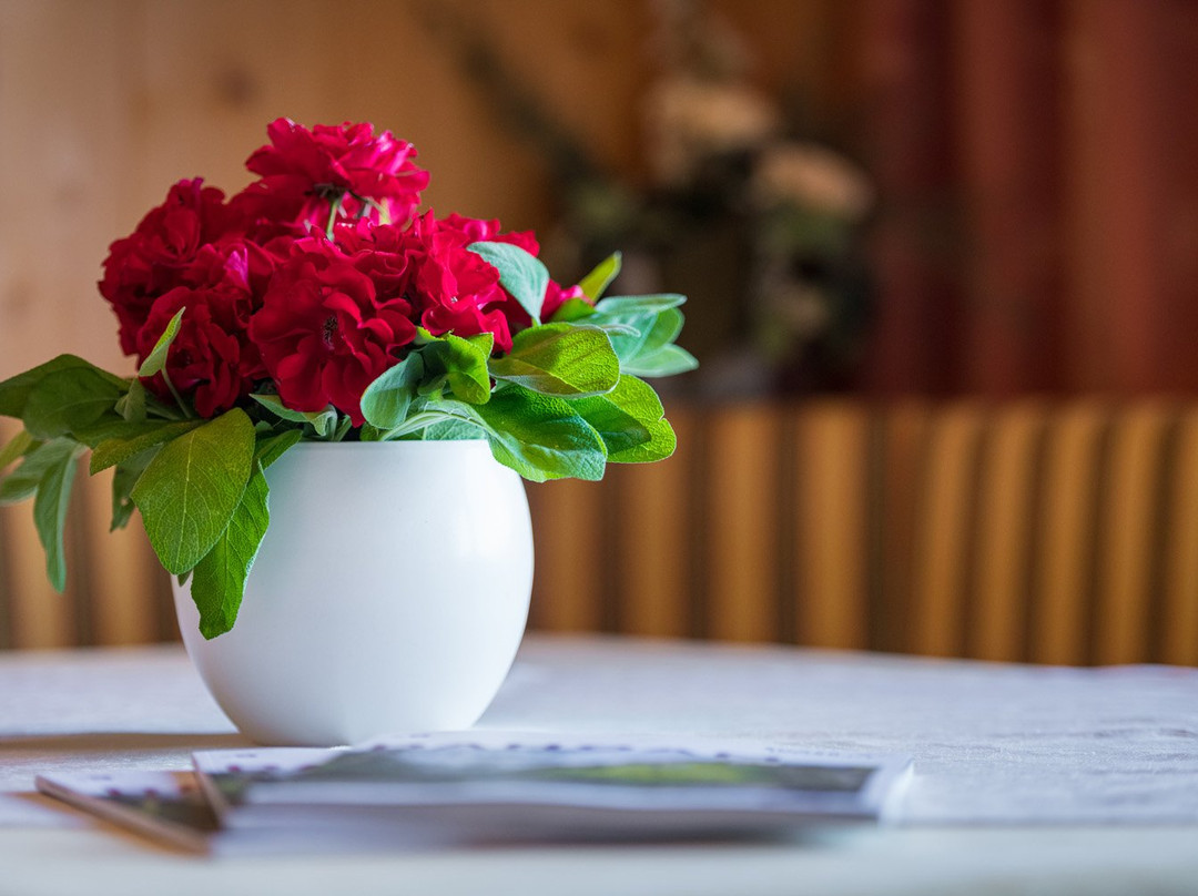 Ferienpension Steiner Weerberg主图