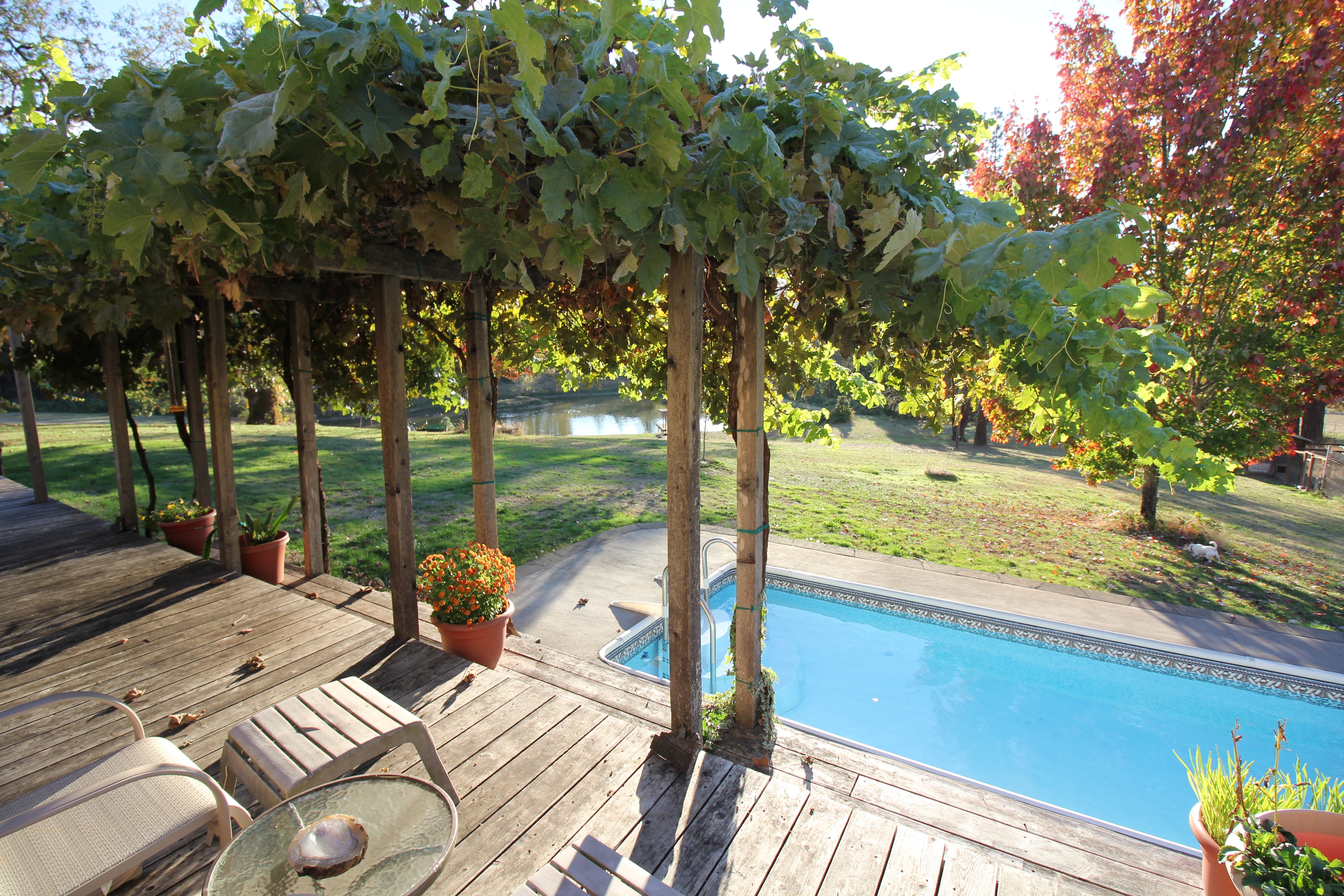 Delfino Vineyards B&B-官方