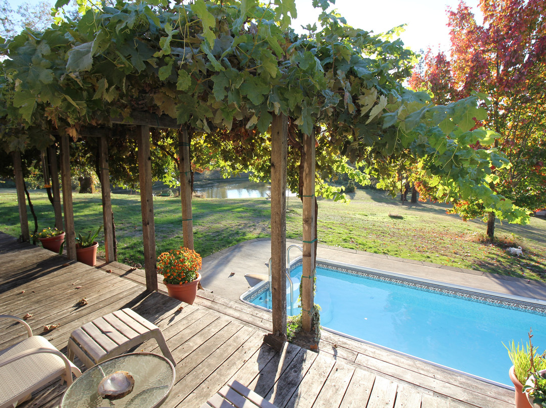 Delfino Vineyards B&B主图