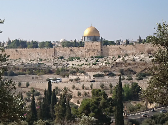 Israel Reiseleiter Ushi Engel - Day Tours-特拉维夫必去景点