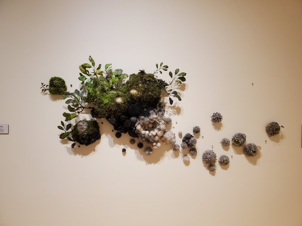 Mesa Arts Center-梅萨必去景点