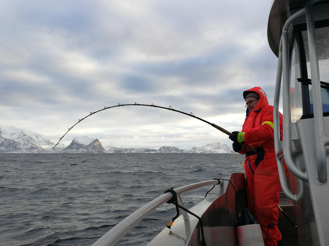 Arctic Spearfishing & guided fishing景点图片