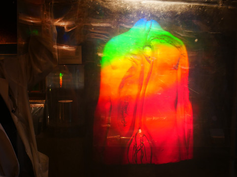 Holographic Studios-纽约市必去景点