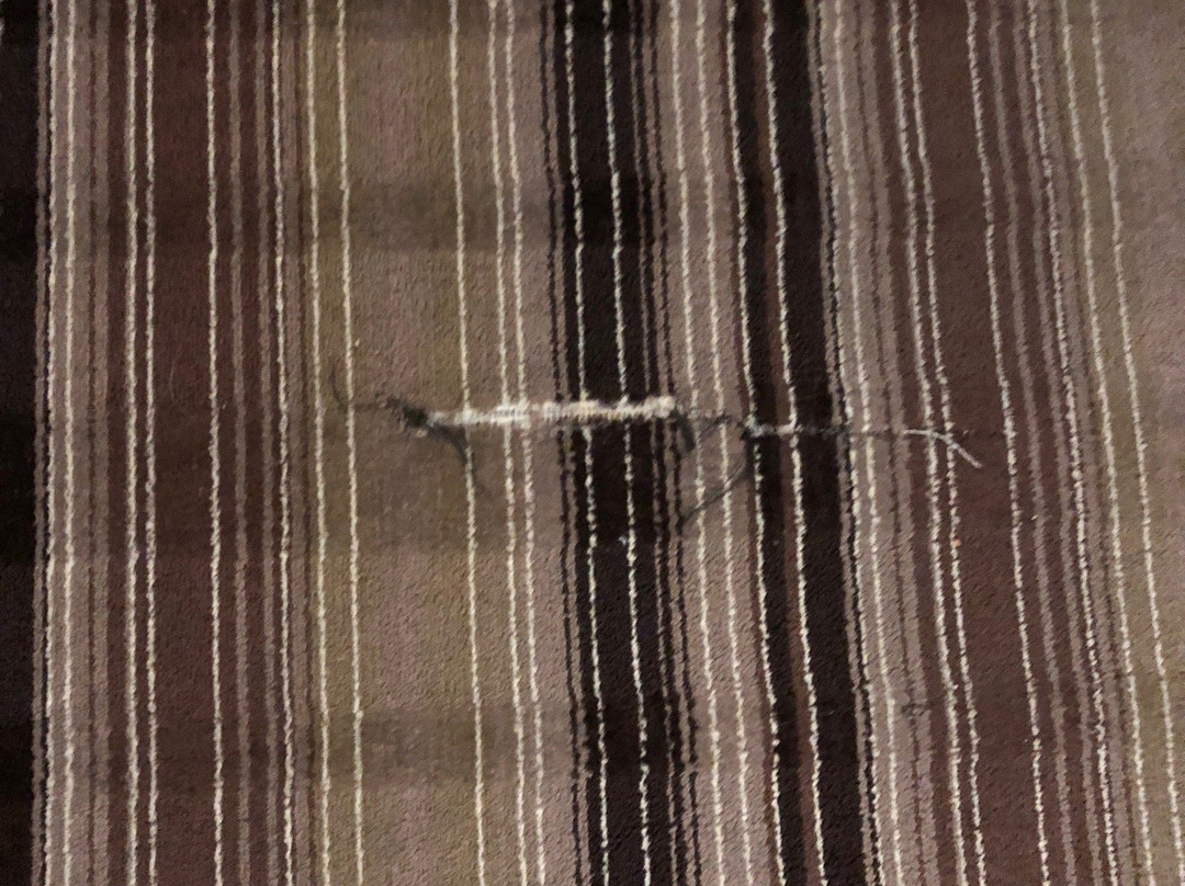 Comfort Suites Mandeville - Covington主图