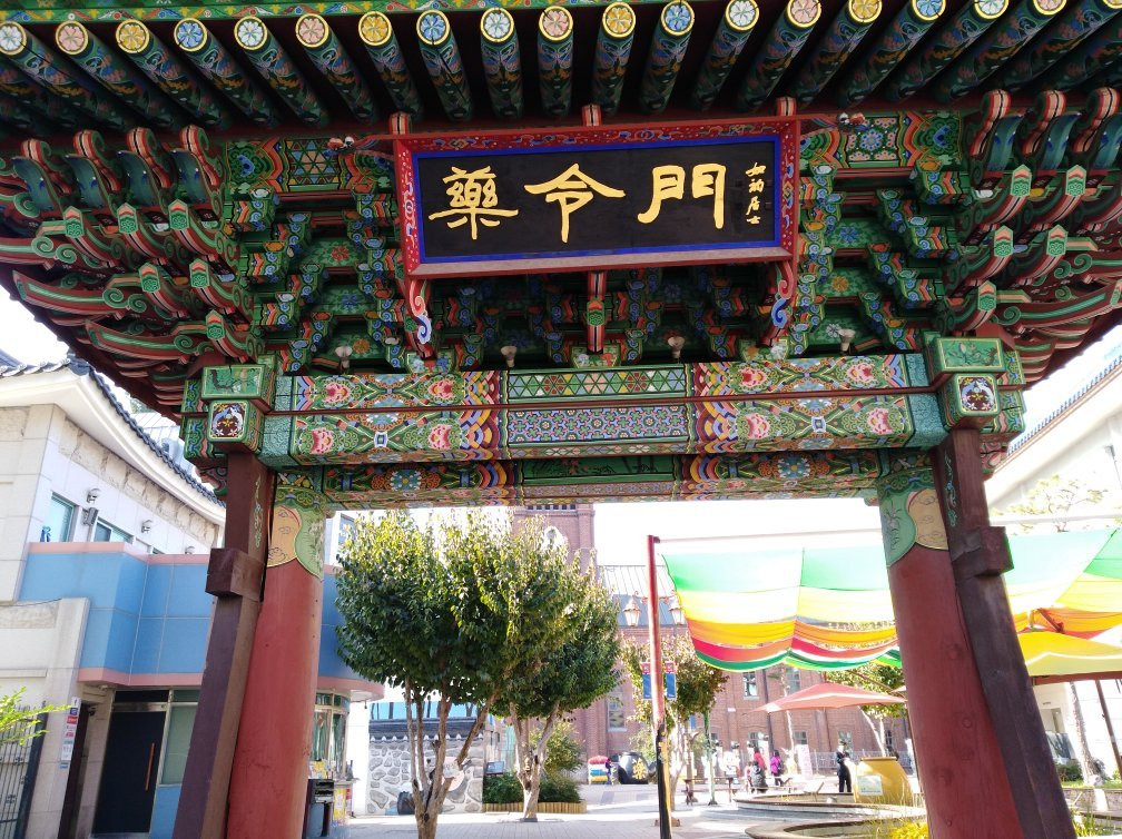 Daegu Yangnyeongsi Museum of Oriental Medicine景点图片