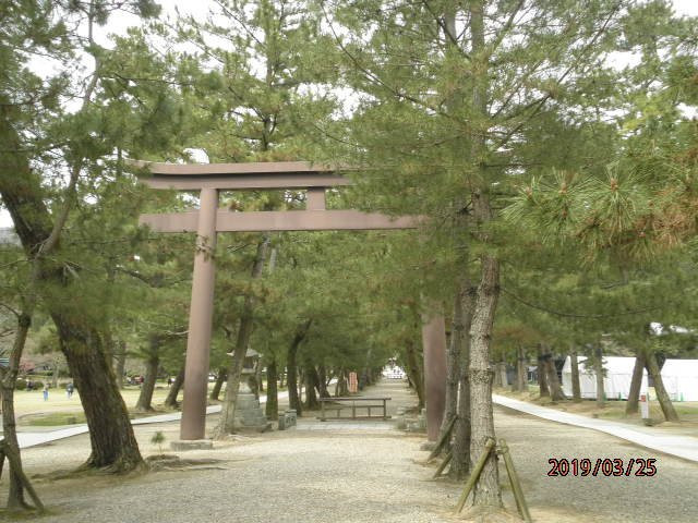 Pine Entrance Path-出云市必去景点
