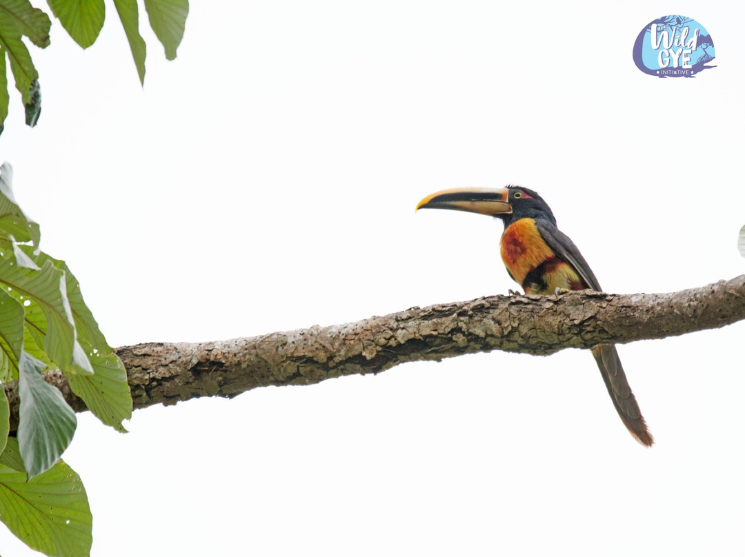 Manglares Churute Ecological Reserve-Posorja必去景点