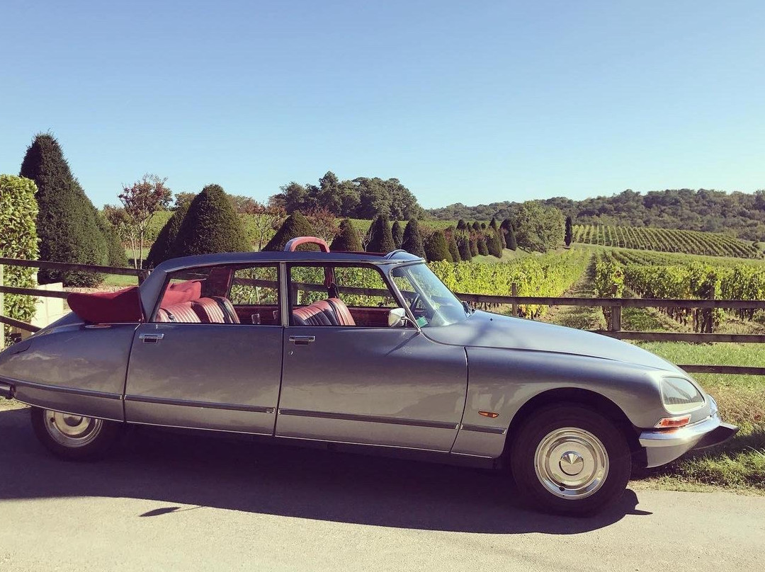 Bordeaux Classic Cars-波尔多必去景点
