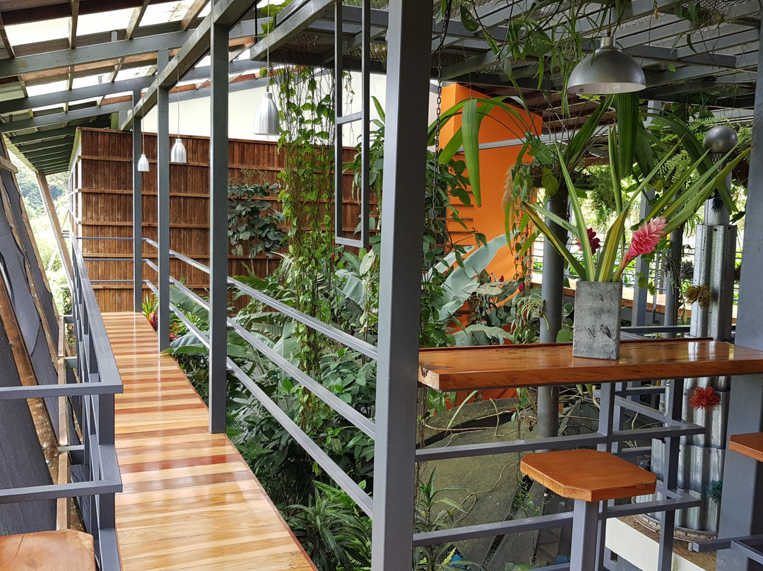 Celeste Mountain Lodge主图