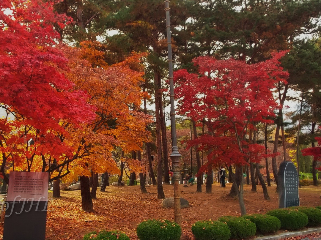 Yongmunsan Resort-杨平郡必去景点