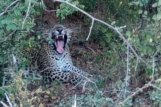 Traveller Tours-蒂瑟默哈拉默必去景点