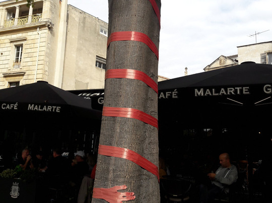 LUMA Arles-阿尔勒必去景点