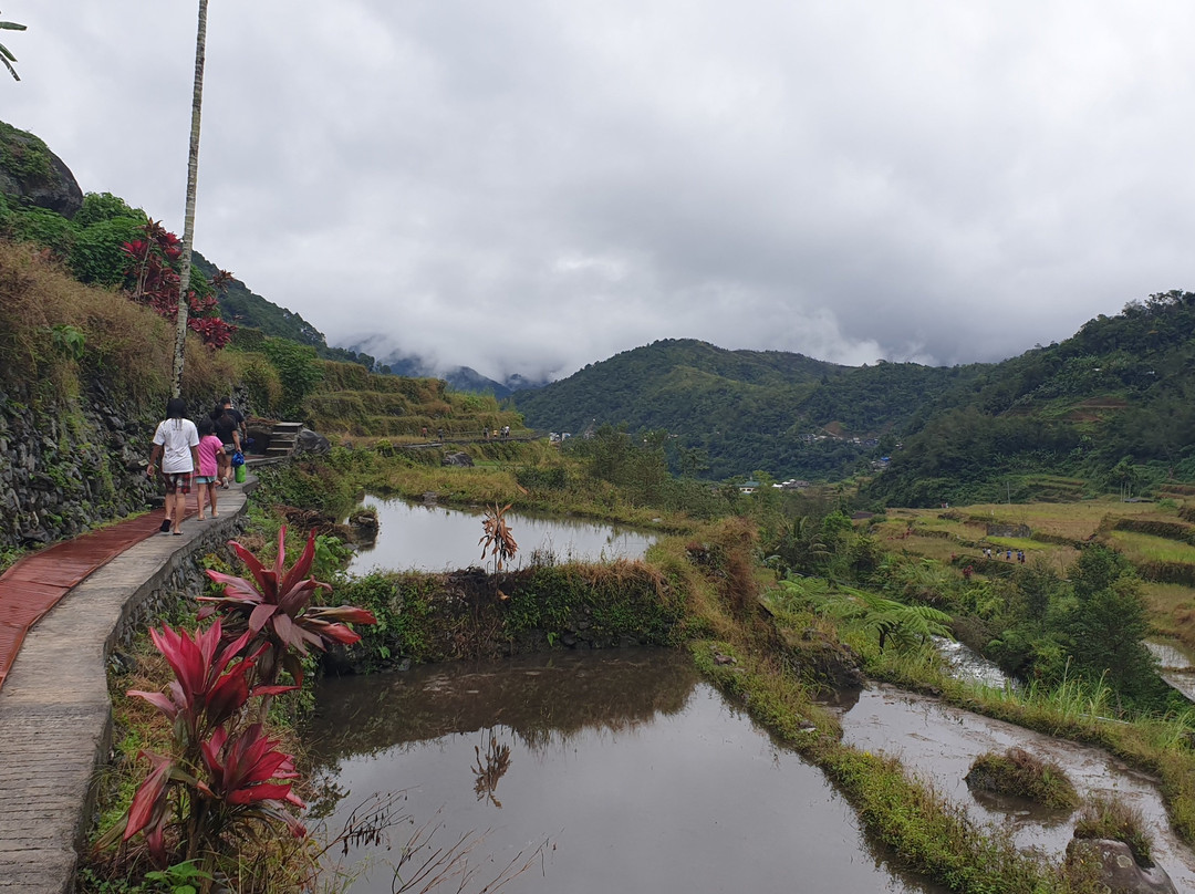 Bogyah Hot Spring