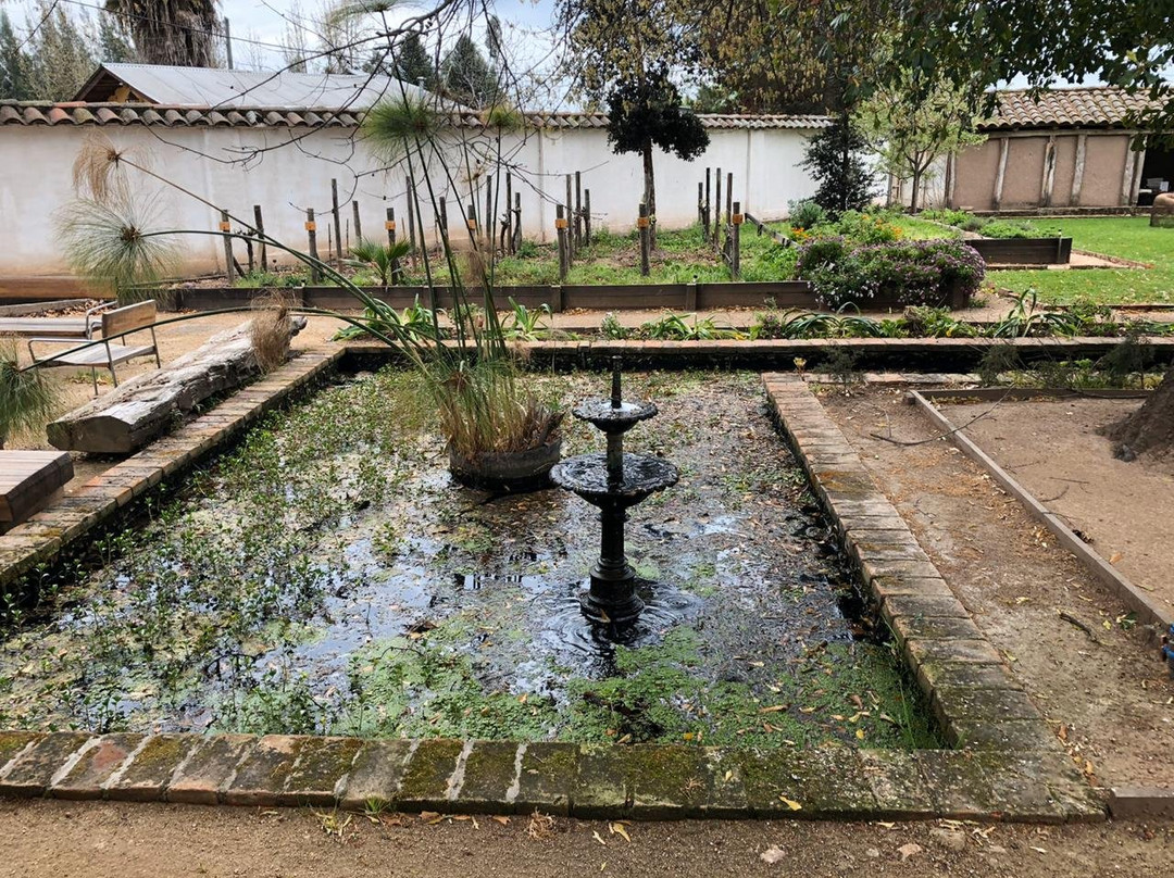 Noi Blend Colchagua主图