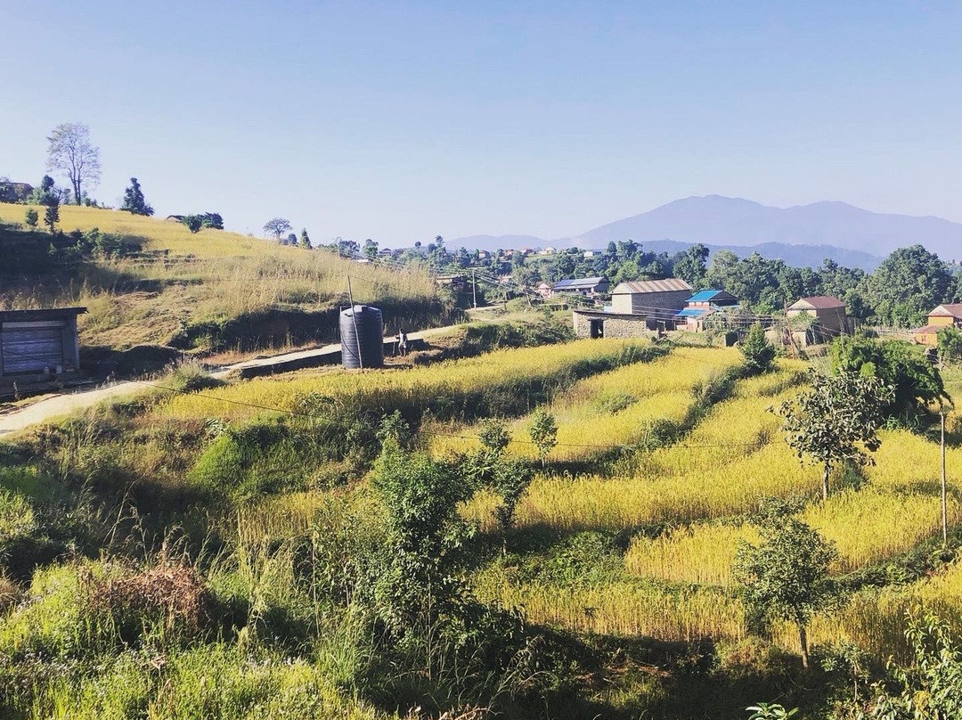 Astam Village Lodge主图