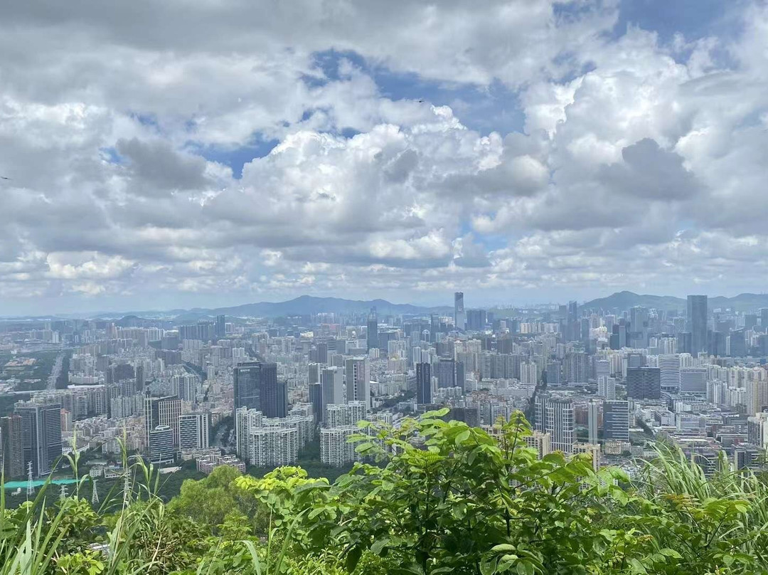 深圳南山公园-深圳市必去景点