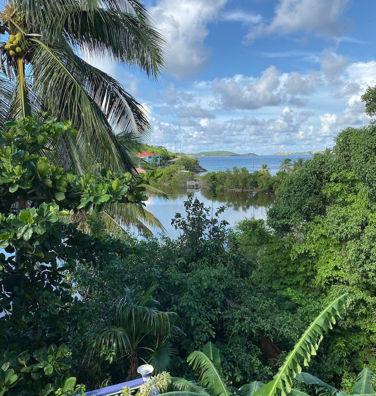 Garden by the Sea B&B主图