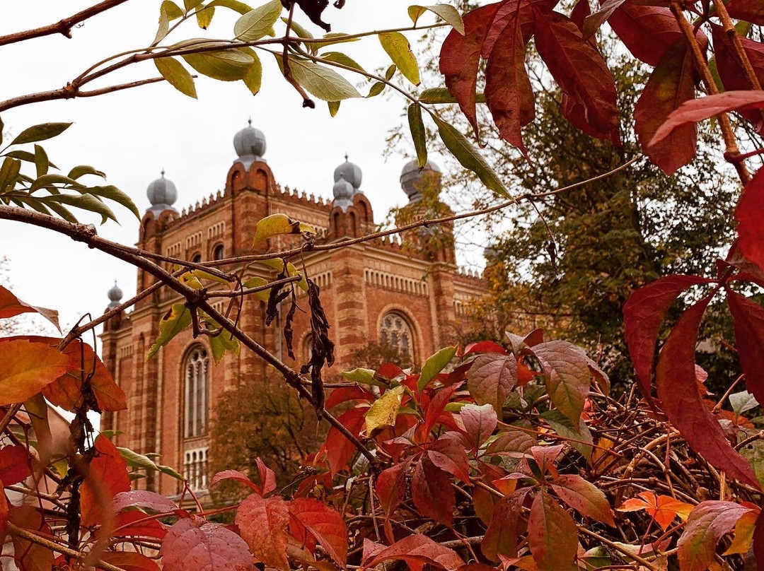 Szombathely Synagogue景点图片