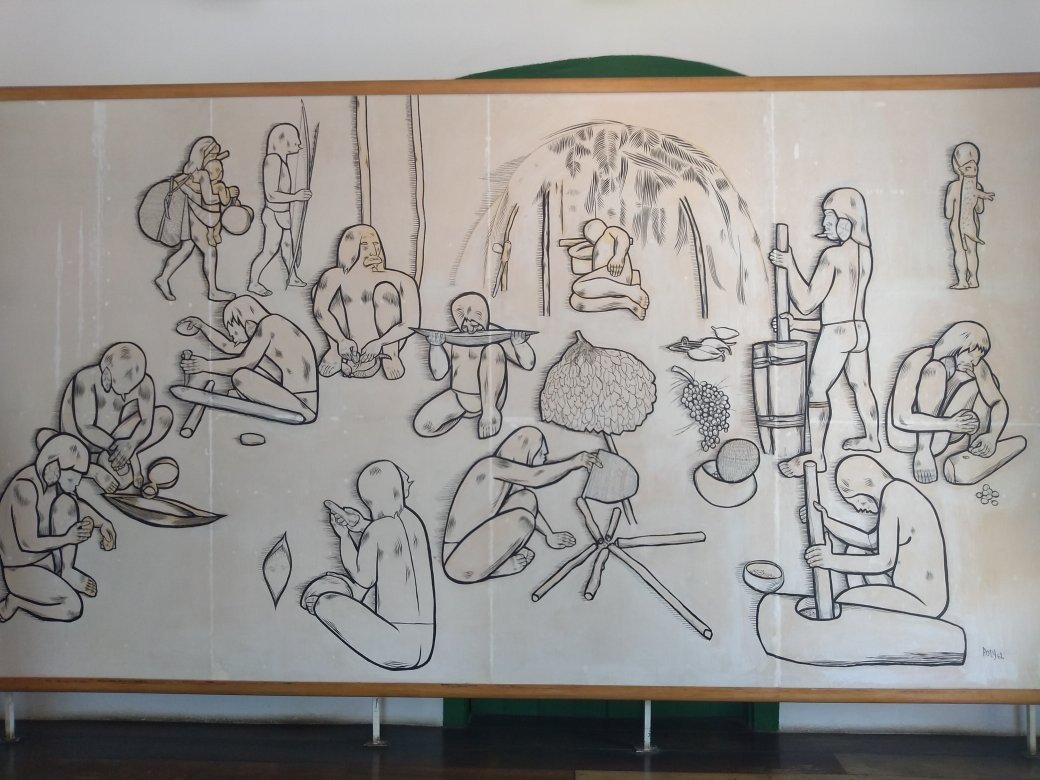 Federal University of Parana Museum of Archaeology and Ethnology-巴拉那瓜必去景点