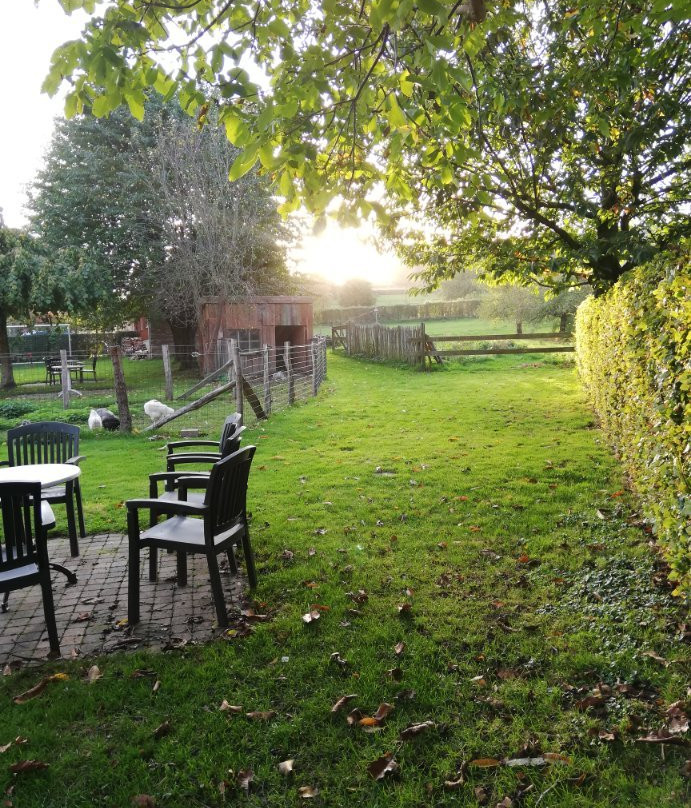 Hotel Hoeve de Plei主图