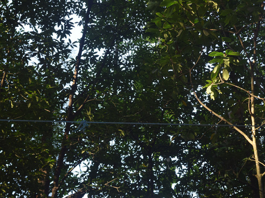 Alesa Tours Borneo-巴厘巴板必去景点