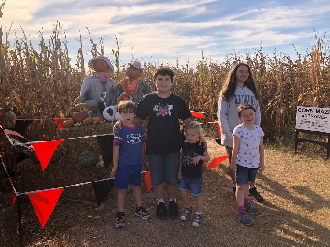 College Run Farms-Surry必去景点