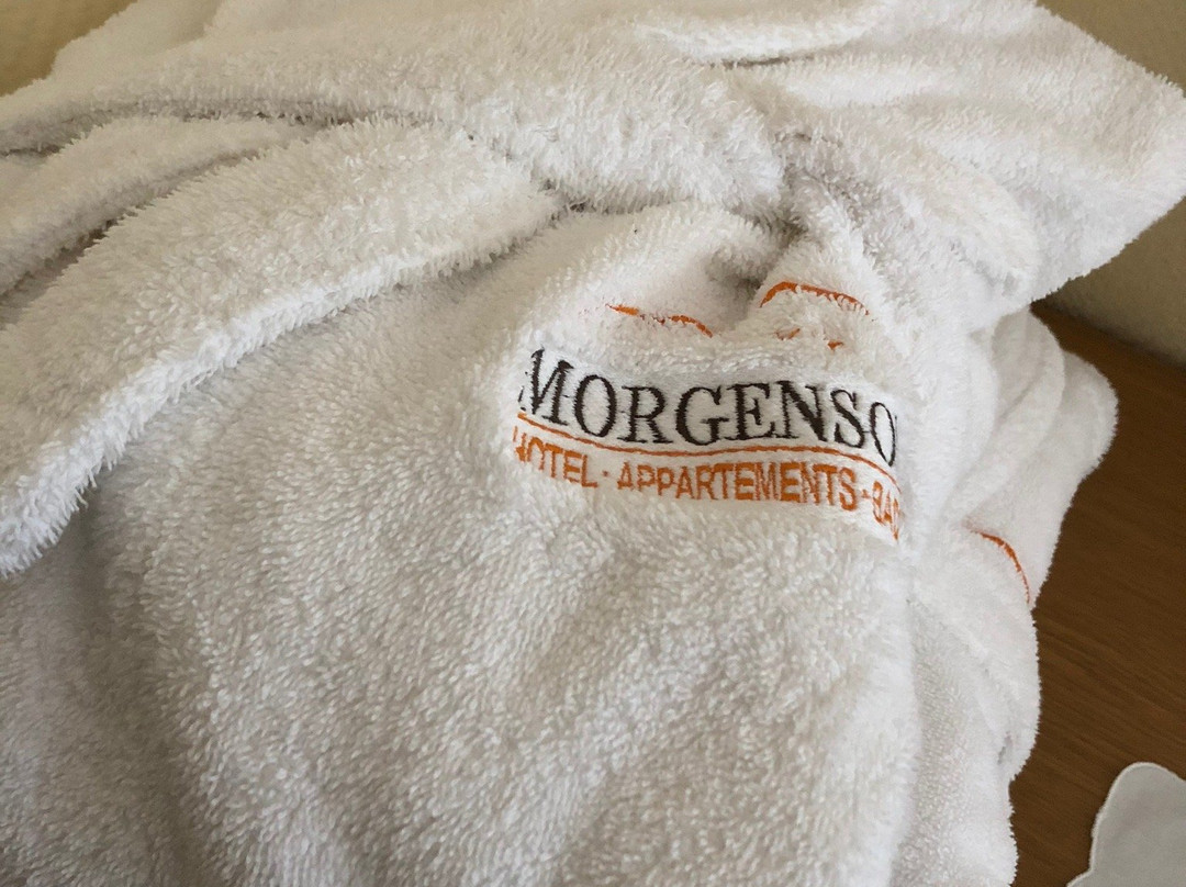Morgensonne Hotel主图
