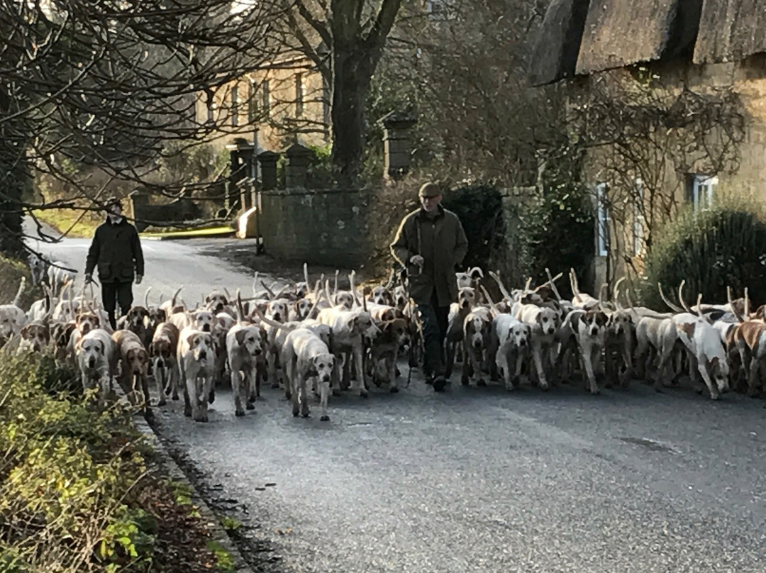 The Cotswold Tour Guide景点图片