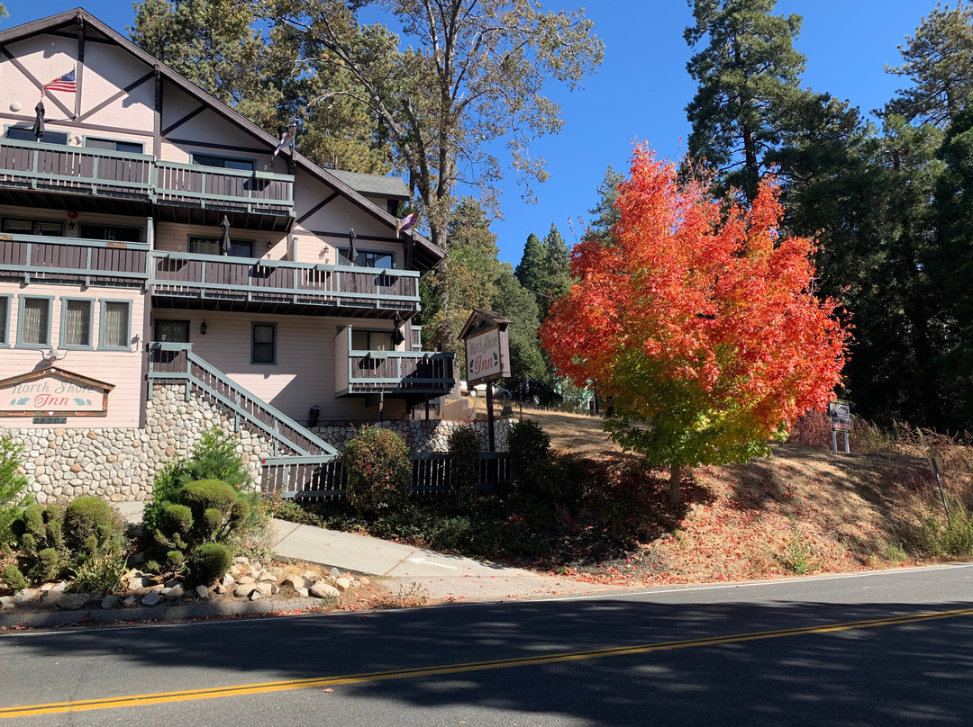 The North Shore Inn主图