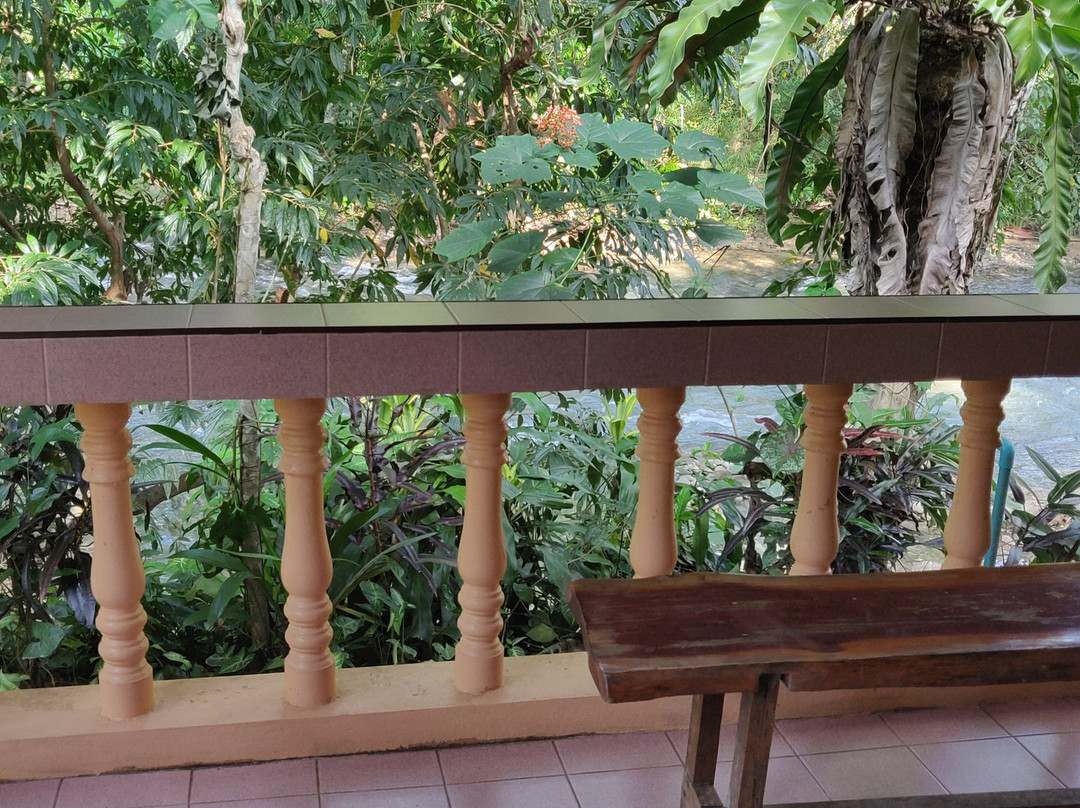 晨霧渡假村主图