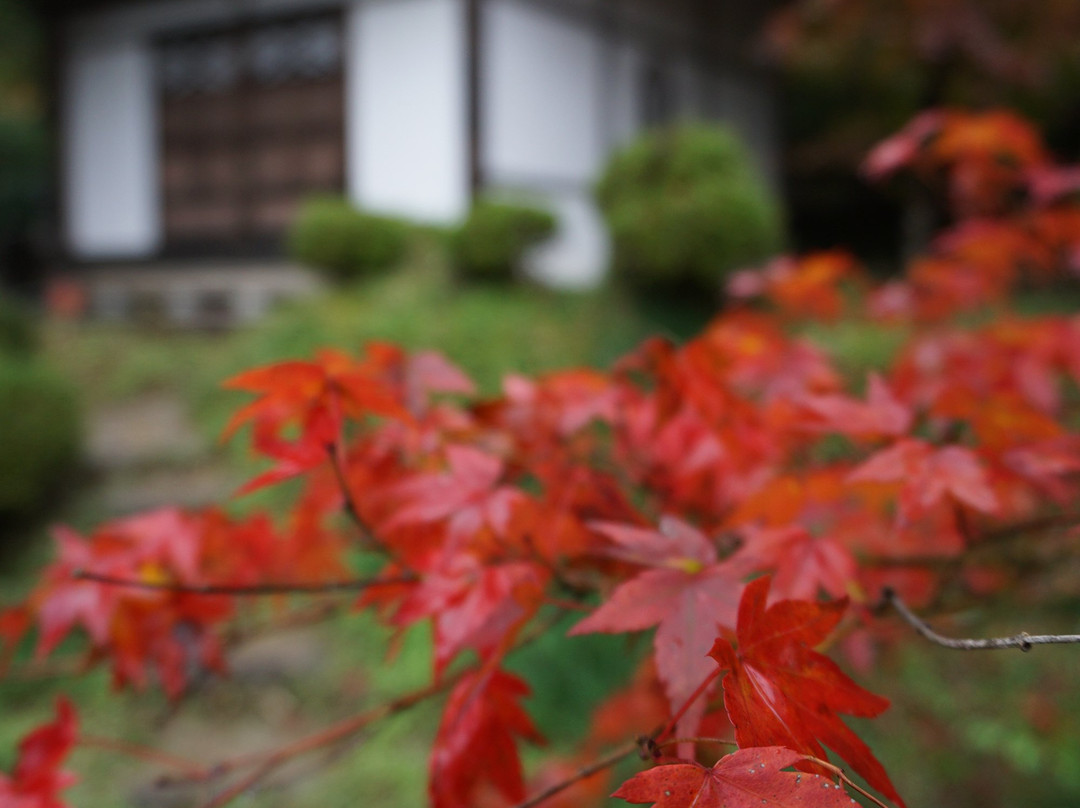 Ankokuji Temple-绫部市必去景点