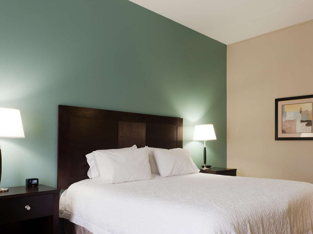 北布劳恩斯魏克汉普顿酒店主图