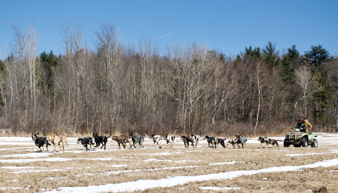 Cobble Hill Kennel-Middlebury必去景点