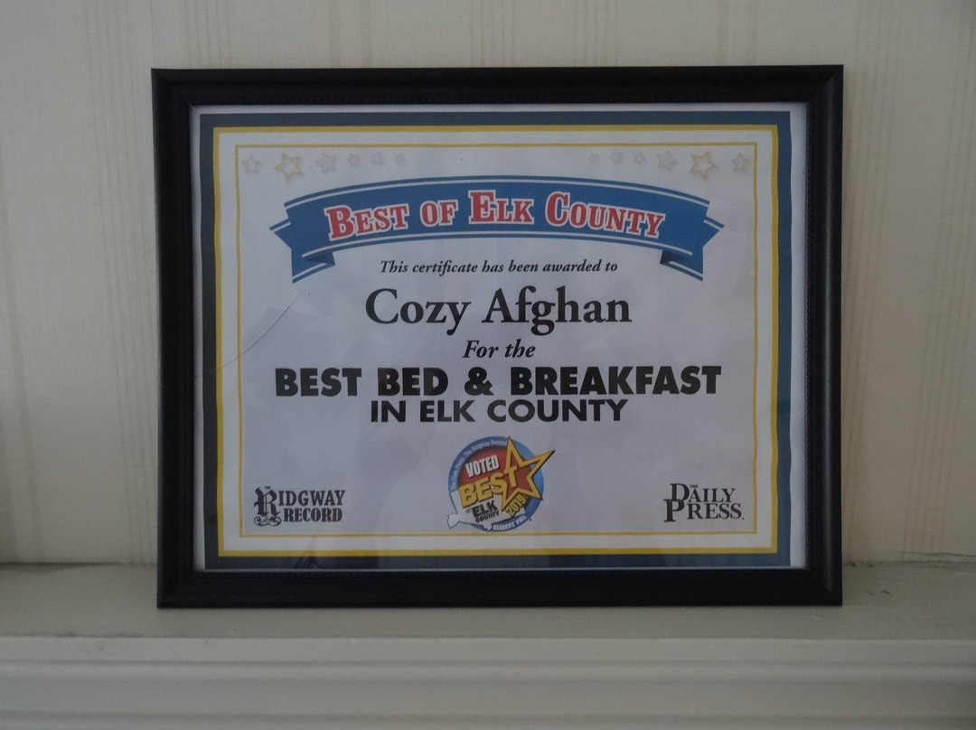 The Cozy Afghan主图