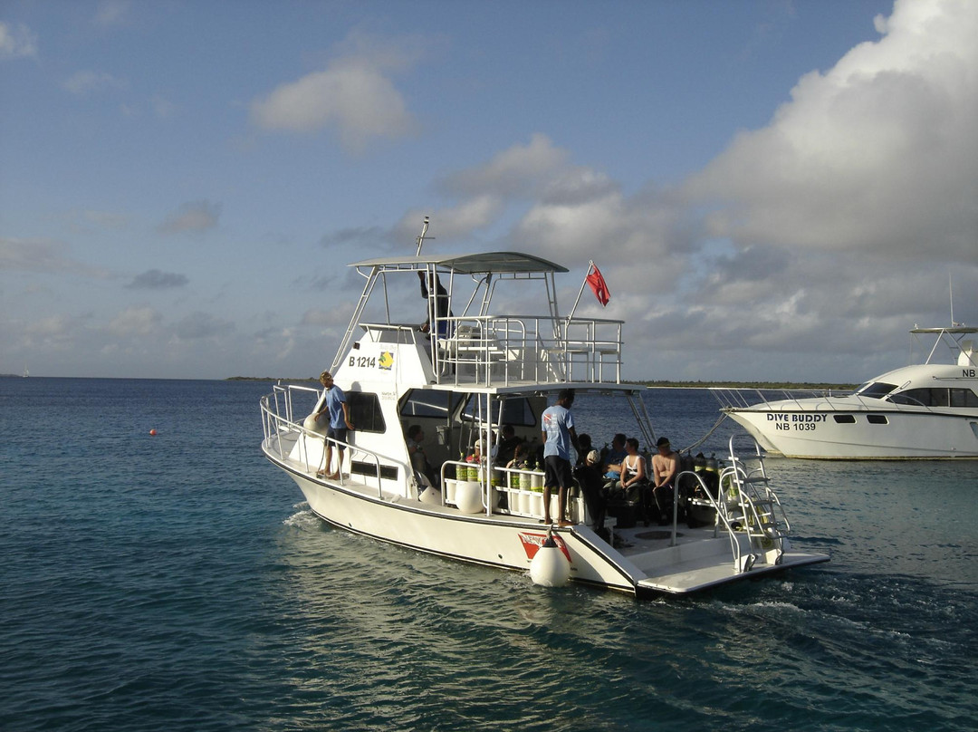 Buddy Dive Water Sports-Kralendijk必去景点