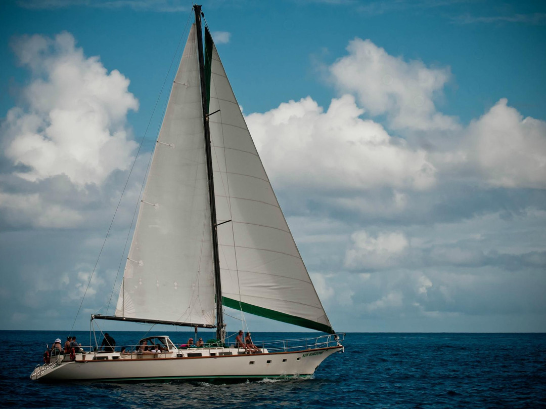 New Horizons Day Sail-圣 托马斯必去景点