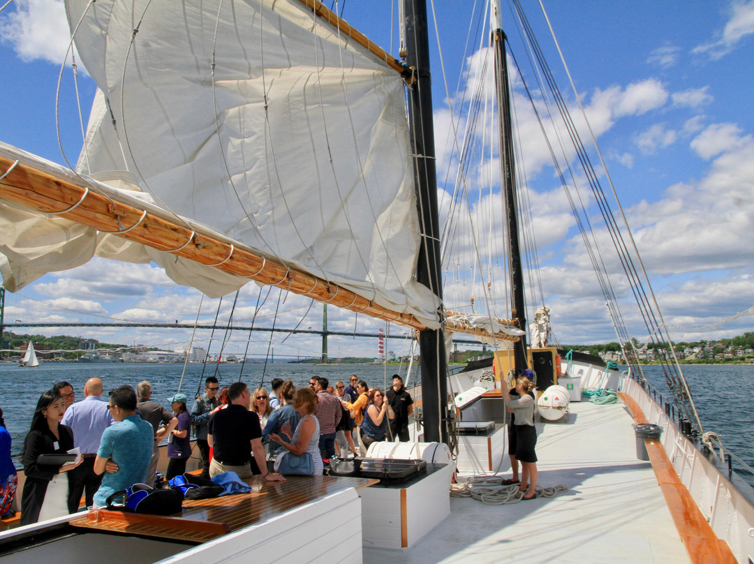 Ambassatours Gray Line