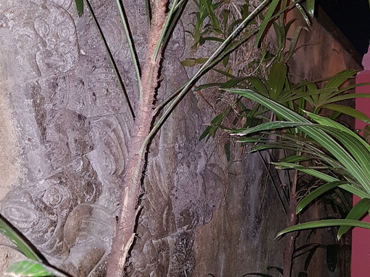 巴厘岛马瓦旅馆主图